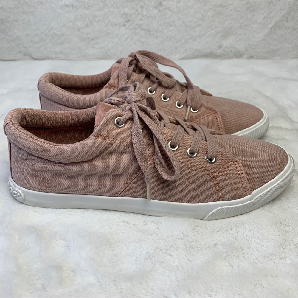 Rocket Dog Canvas Sneakers Mauve US10 - EU41